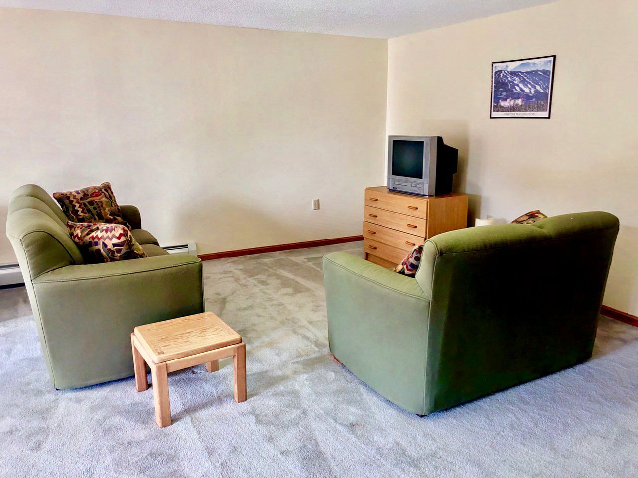 Un salon avec deux fauteuils verts, une petite table en bois et un téléviseur posé sur un meuble en bois.