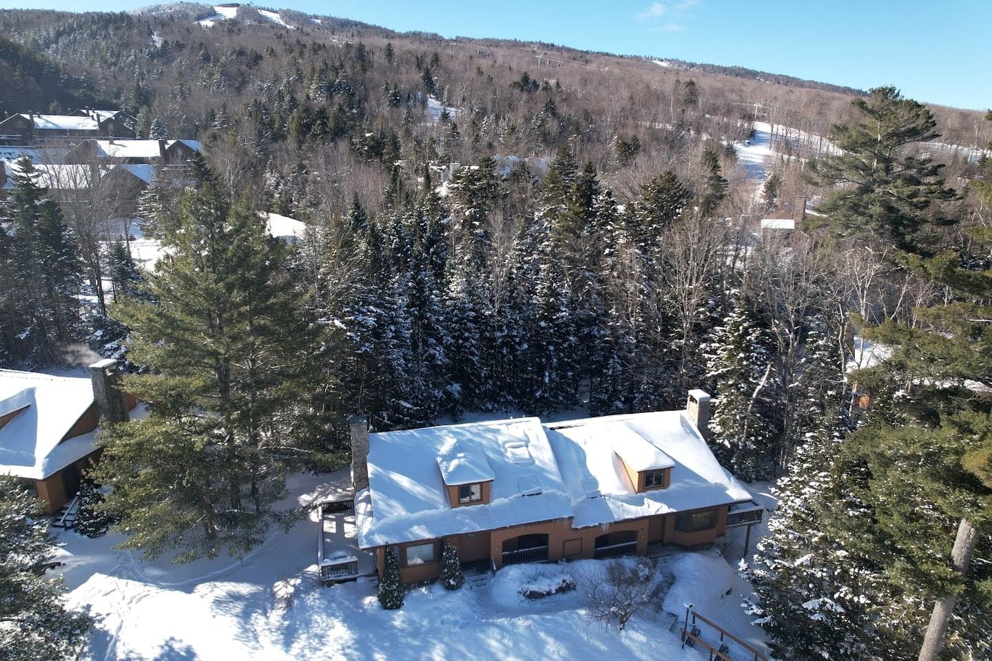 Un quartiere residenziale con case coperte di neve, circondato da una fitta foresta.