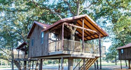Tree House for Two, Ideal for a Glamping Getaway near Baylor, Texas