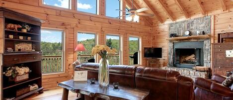 TV, fireplace, DVD player, video library