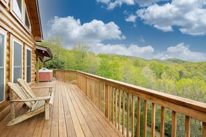 Property grounds - Stunning Log Cabin with Views of Mt. Mitchell near Asheville, North Carolina (Black Mountain)