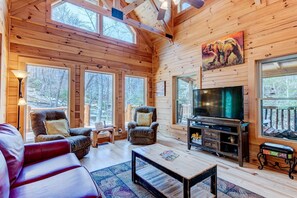 TV, fireplace, DVD player, video library - Secluded Creekside Cabin Rental near Mt. Mitchell in Western North Carolina (Black Mountain)