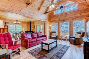 TV, fireplace, DVD player, video library - Secluded Creekside Cabin Rental near Mt. Mitchell in Western North Carolina (Black Mountain)
