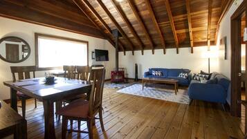 TV, fireplace, DVD player