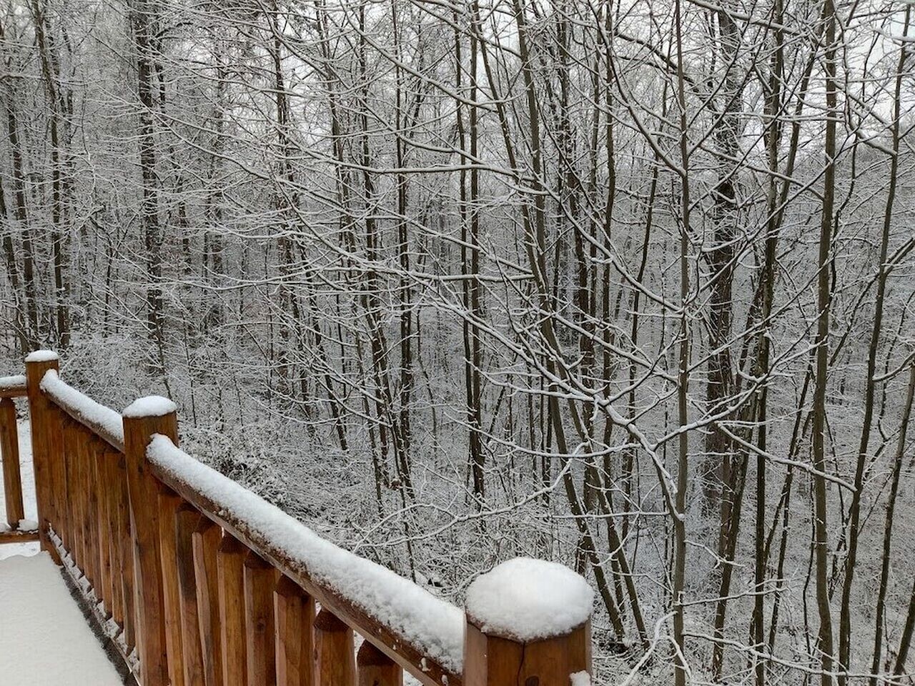 Eine Holzterrasse mit verschneiten Geländern, mit Blick auf einen Wald.