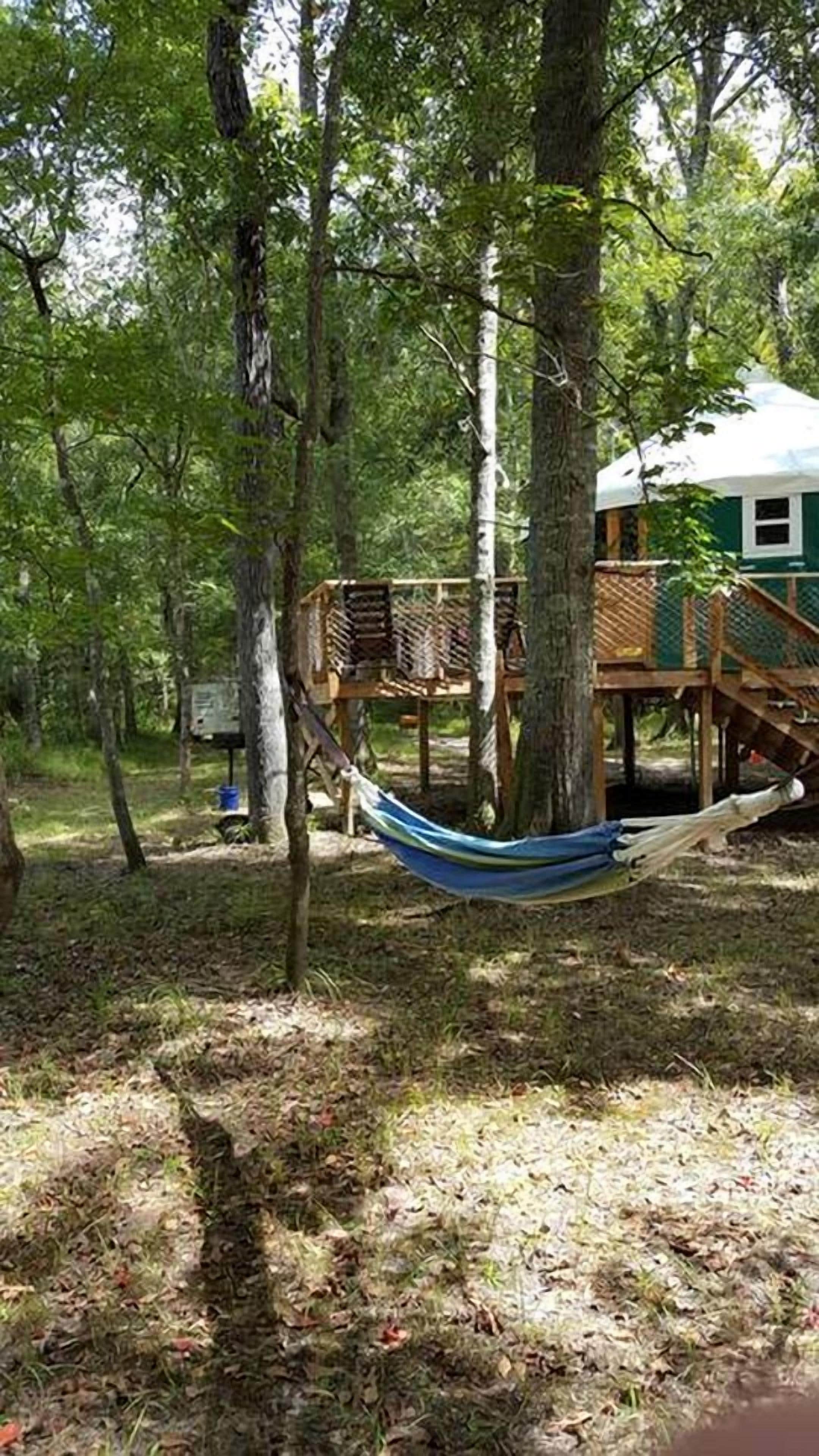 Un hamac tendu entre deux arbres, une terrasse en bois et une maison avec un toit végétalisé.