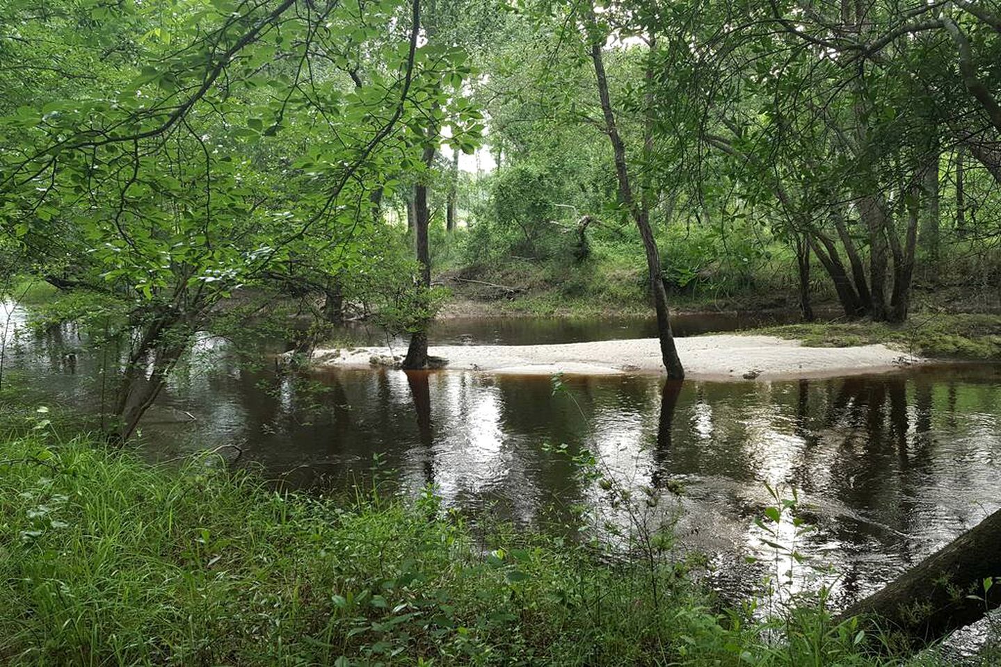 Un paysage naturel comprenant une rivière, des arbres et une zone sablonneuse.