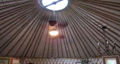 Rustic Luxury: Riverfront Yurt Glamping in Claxton, Georgia