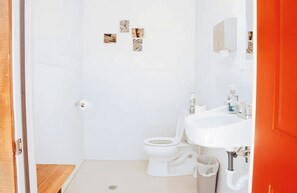 Hair dryer, towels, toilet paper