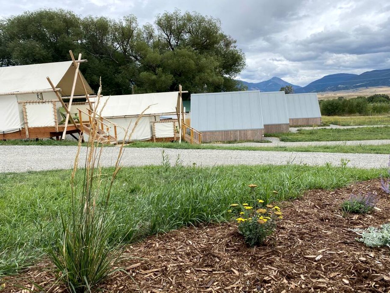 Ein Campingplatz mit Zelten, einer Holzhütte und einer grünen Fläche mit Pflanzen.