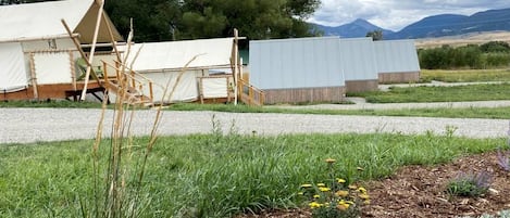 Ein Campingplatz mit Zelten, einer Holzhütte und einer grünen Fläche mit Pflanzen.