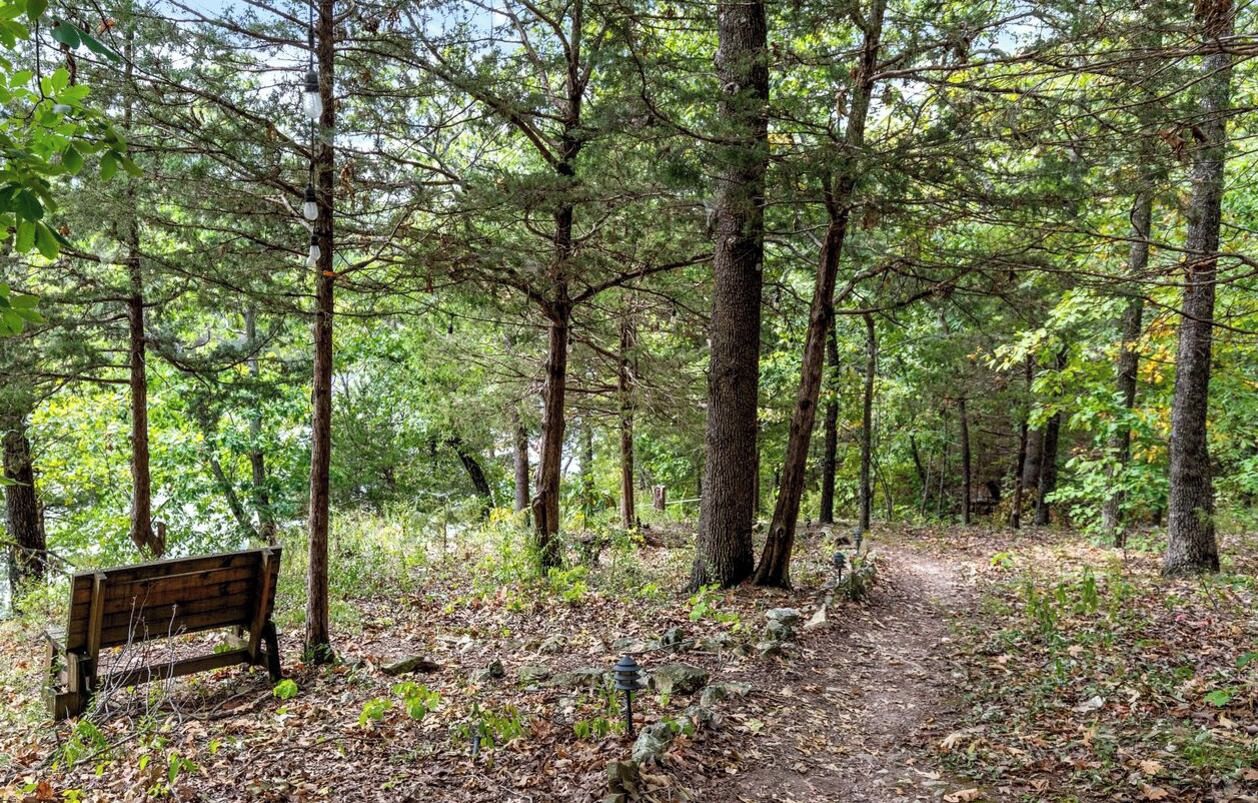 A forested area with a wooden bench and a path.
