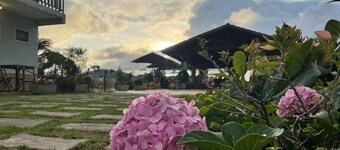 샤카라 다 소르테