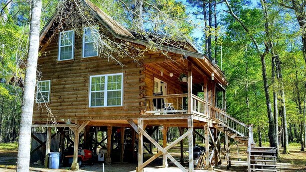 A wooden cabin with a porch, large windows, and a covered area with a ladder.