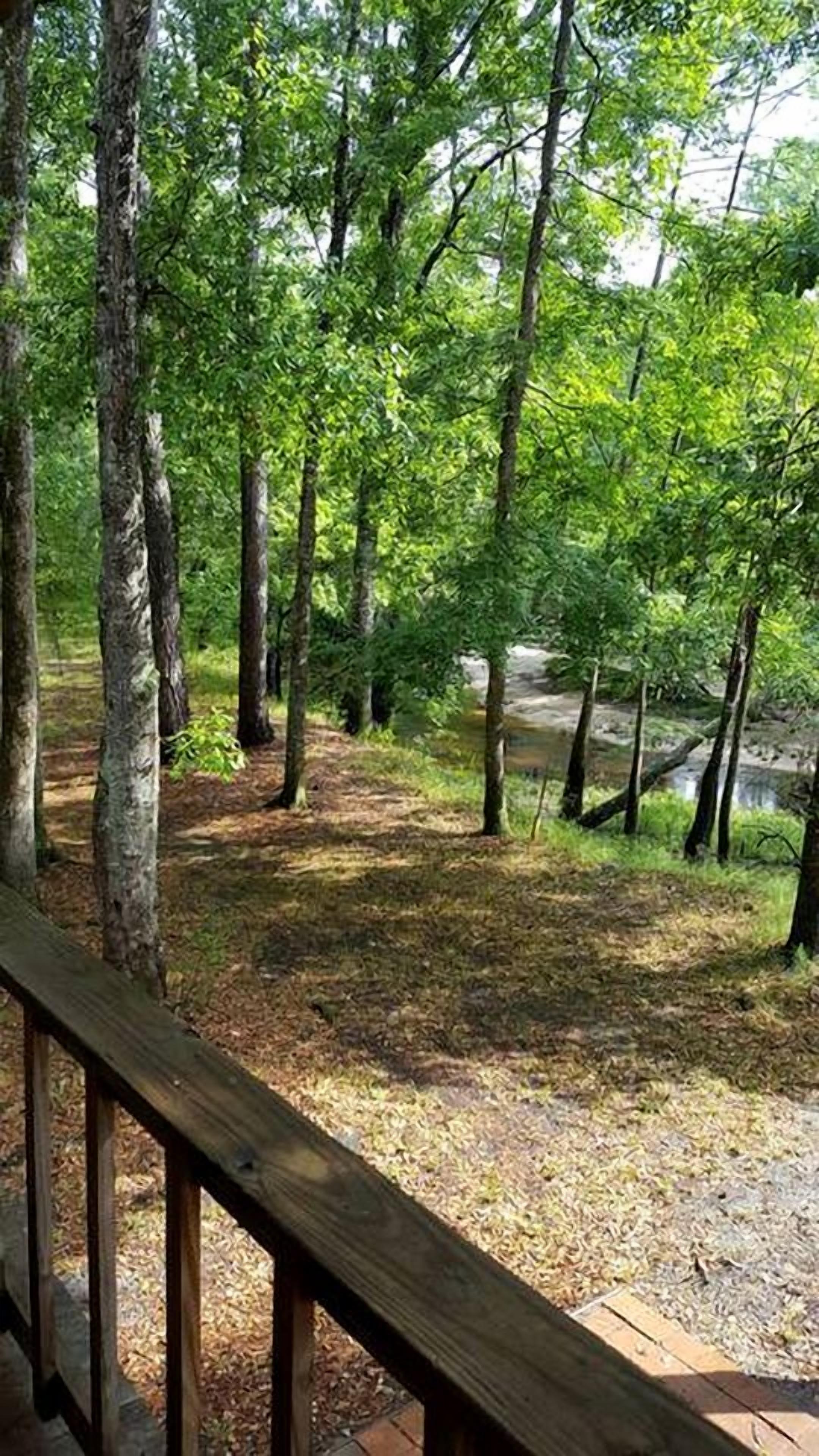 A forested area with a wooden deck and a dirt path leading to a body of water.