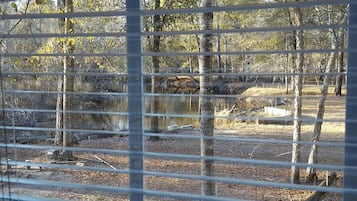 Une vue à travers une fenêtre munie de stores horizontaux, offrant un paysage naturel avec des arbres et une étendue d’eau.