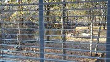A view through a window with horizontal blinds, featuring a natural outdoor setting with trees and a body of water.