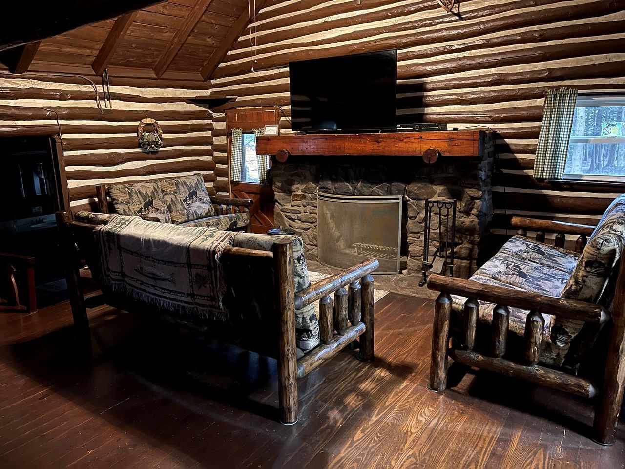 TV, fireplace