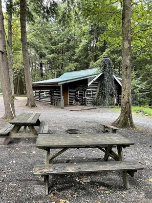 Eine rustikale Holzhütte mit einem grünen Dach, umgeben von hohen Bäumen in einem Wald.