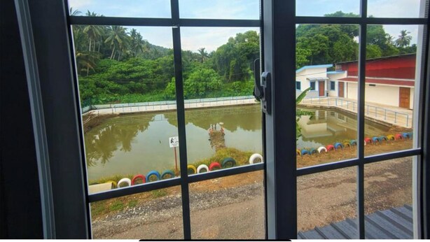 Vista a través de una ventana de metal, con una masa de agua y follaje al fondo.