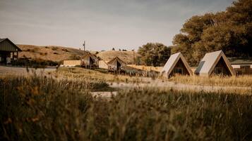 A rural setting with several wooden cabins, a dirt path, and a grassy field.