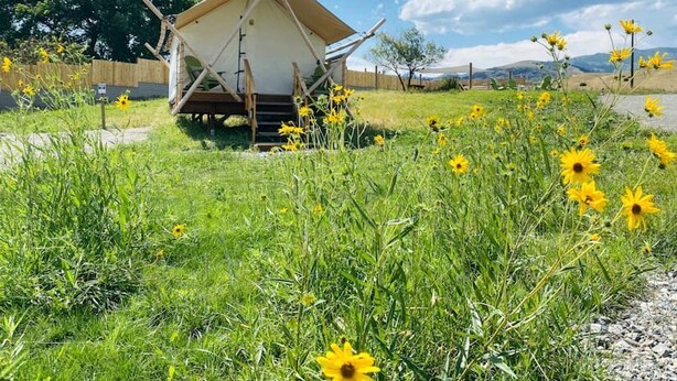Una estructura pequeña de un solo piso con techo inclinado, rodeada por un área cubierta de césped y flores amarillas.