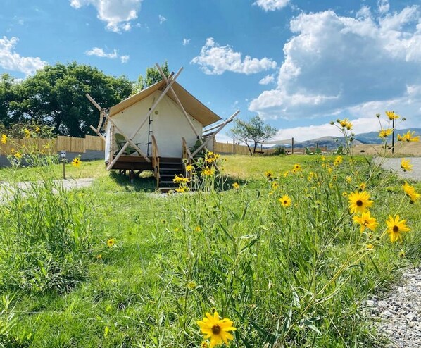 A small, single-story structure with a sloped roof, surrounded by a grassy area with yellow flowers.