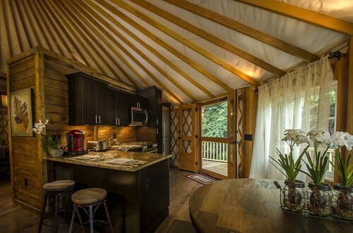 Creekside Secluded Yurt with Jacuzzi in Topton, North Carolina