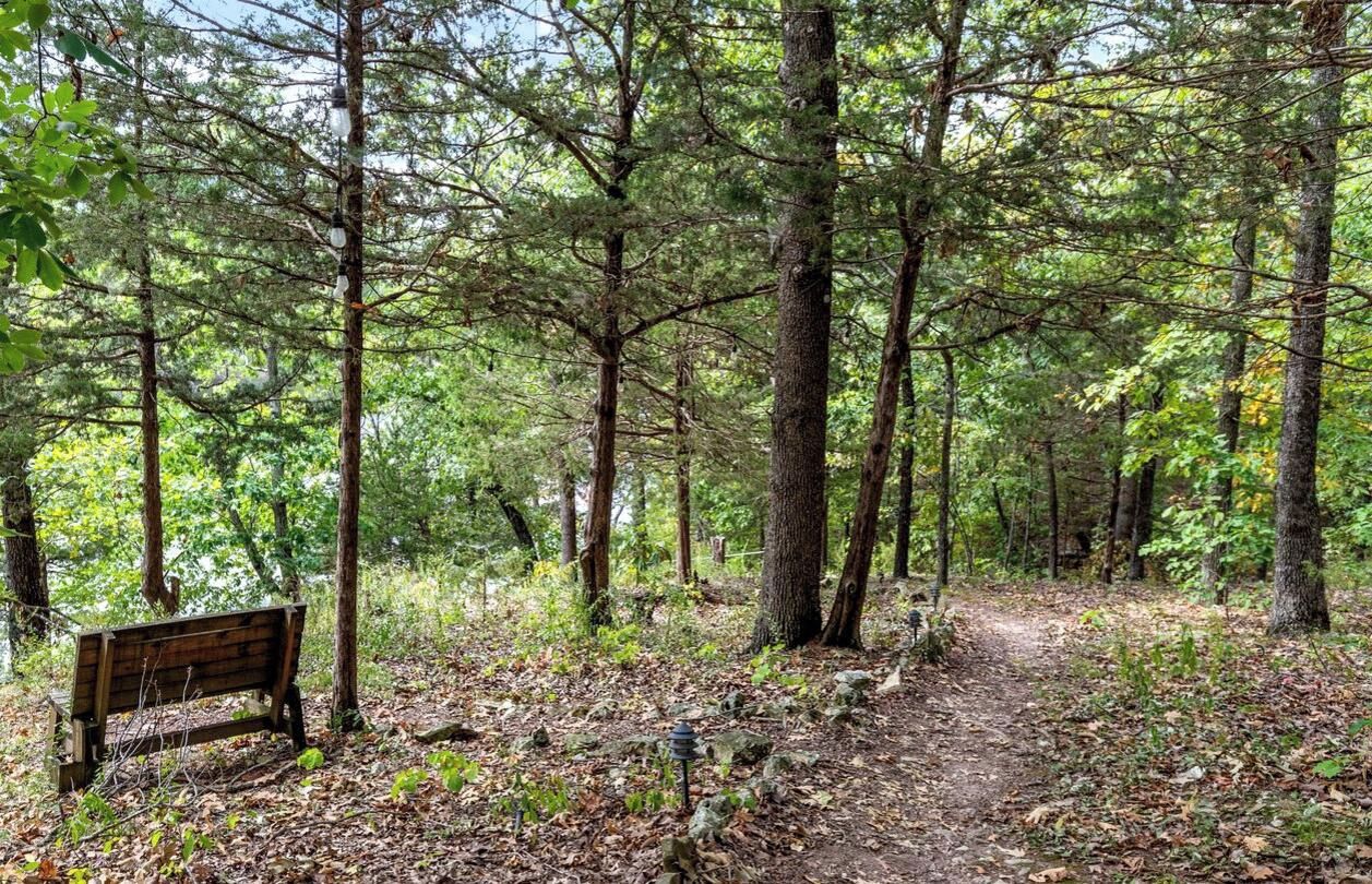 A forested area with a wooden bench and a path.