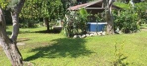 المنطقة المحيطة بالمنشأة