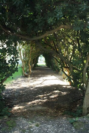 Terrein van de accommodatie