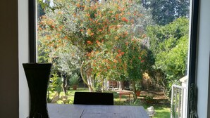 Vista por una ventana a un jardín con una mesa, sillas, un florero y varias tazas.