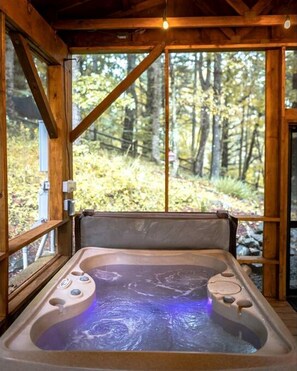 Interior - Tiny Luxury Getaway: Cabin in Todd, North Carolina with Hot Tub, Scenic Views, and Lounge Perfection (Todd)