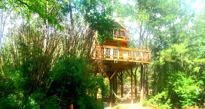 Fun for All Ages: Treehouse with Waterfront Deck for Families in Grimes County, TX