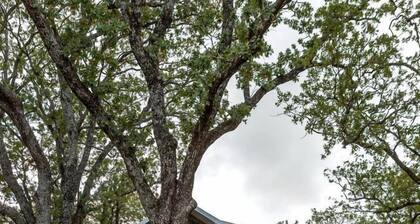 Cozy Treehouse near Magnolia, Texas, for Romantic Glamping Getaways