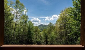 Interior - Dreamy Log Cabin with Spectacular Mountain Views in Topton, North Carolina (Topton)