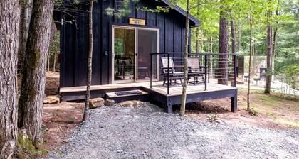 Pet-Friendly Paradise: Luxury Glamping Cabin in Pisgah Forest for You and Your Furry Friend