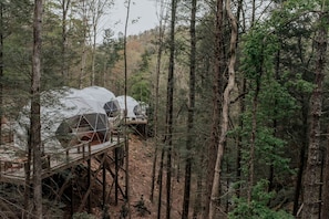 Geodesic dome structures in a forest setting. - Luxury Living with Panoramic Views at Cherry Log's Designer Dome (Cherry Log)
