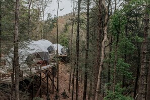 Geodesic dome structures in a forest setting. - Family Adventure in a Unique Dome near Fall Branch Falls, Cherry Log, GA (Cherry Log)