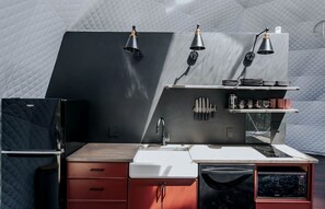 Coffee/tea maker, fridge, microwave, stovetop - Family Adventure in a Unique Dome near Fall Branch Falls, Cherry Log, GA (Cherry Log)