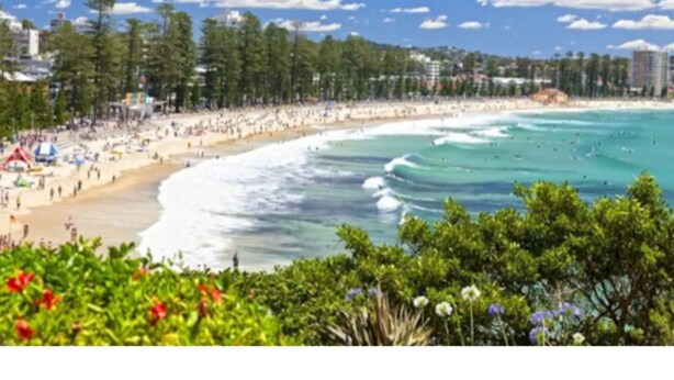 A beach with a wide sandy shore, clear blue water, and a line of trees in the background. - Beachside Paradise - Ocean Views, Central Position (Sydney)