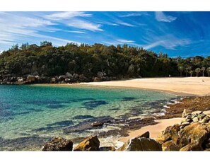 Apartment | View from property - Beachside Paradise - Ocean Views, Central Position (Sydney)