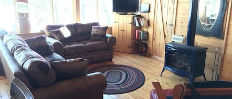 Tv, pejs, dvd-afspiller, videobibliotek