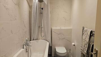 Shower, hair dryer