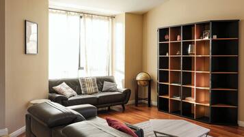 TV, video games, DVD player, books