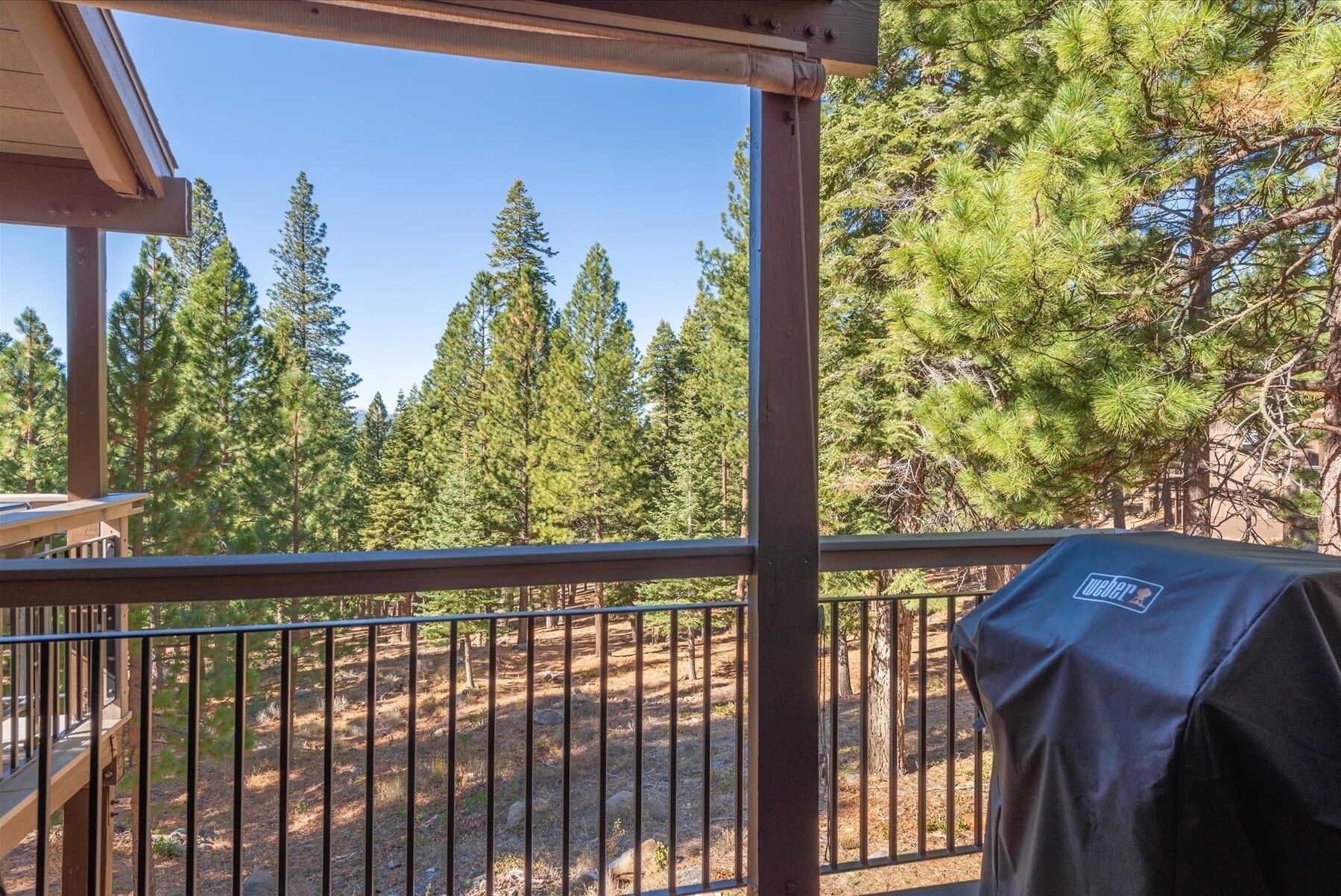 A covered outdoor area with a metal railing, a grill, and a view of a forest with tall pine trees.