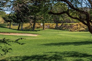 Condo, 1 Bedroom | Golf - Big Island Fairway Terrace I-208 1 Bedroom Condo (Waikoloa)