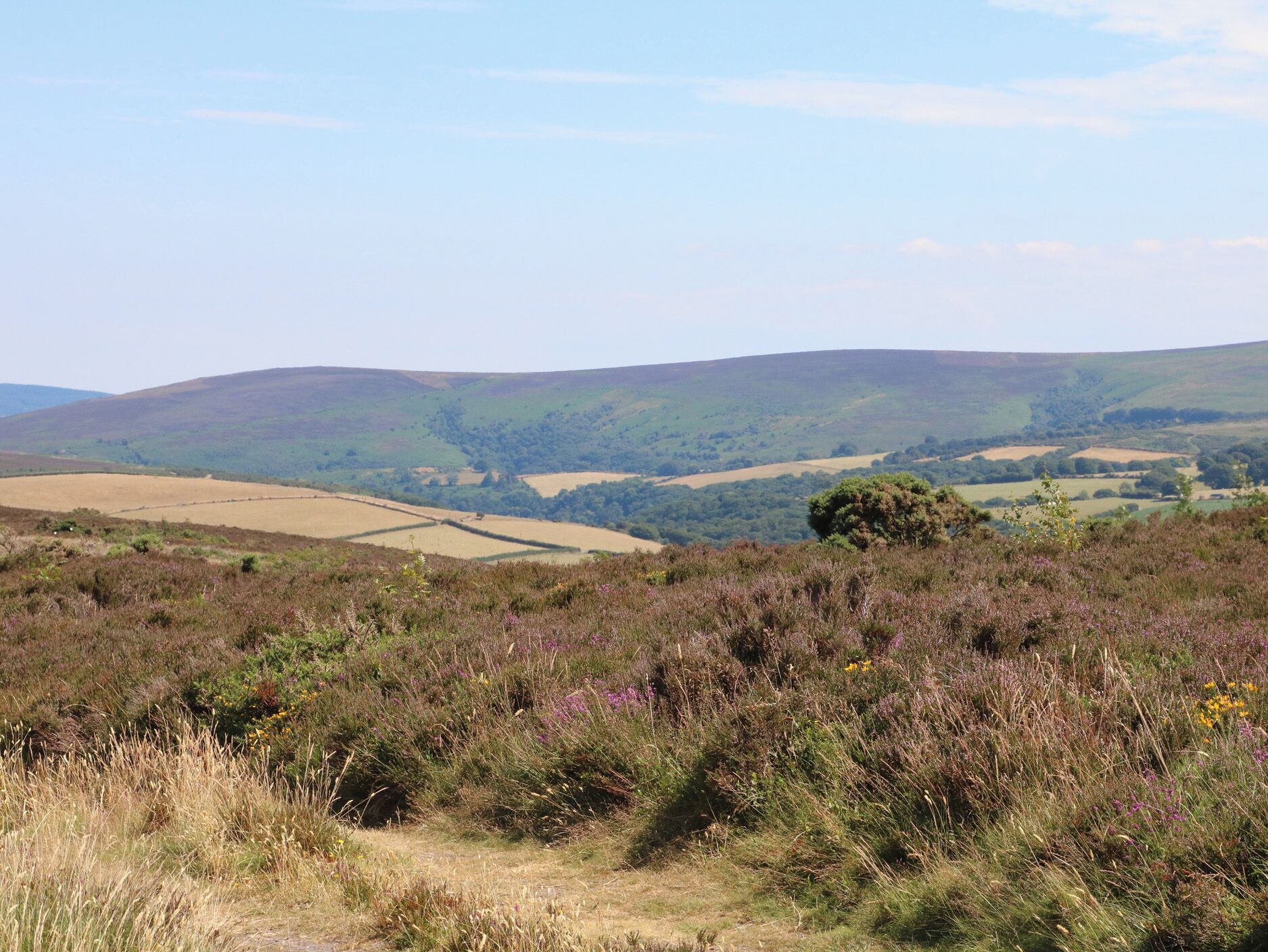 A rural landscape with rolling hills and fields.