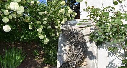 Apartment 'WiedergrĂŒn' with Balcony and Wi-Fi
