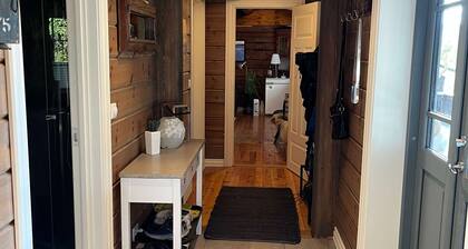 Cozy, luxurious Norwegian cabin with Jacuzzi in ski resort Oppdal!